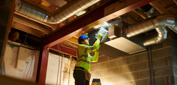 Air Duct Mold Removal in White City, FL