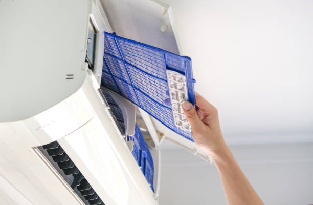 Best Local Air Duct Cleaning Services  in White City, FL