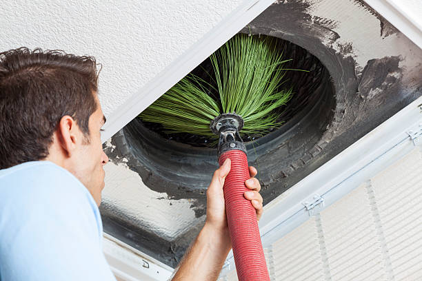 Best Ventilation Cleaning Services  in White City, FL